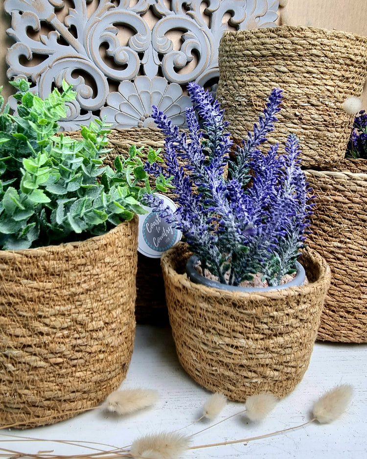 Seagrass Round Coastal small Baskets/planters - set of 3