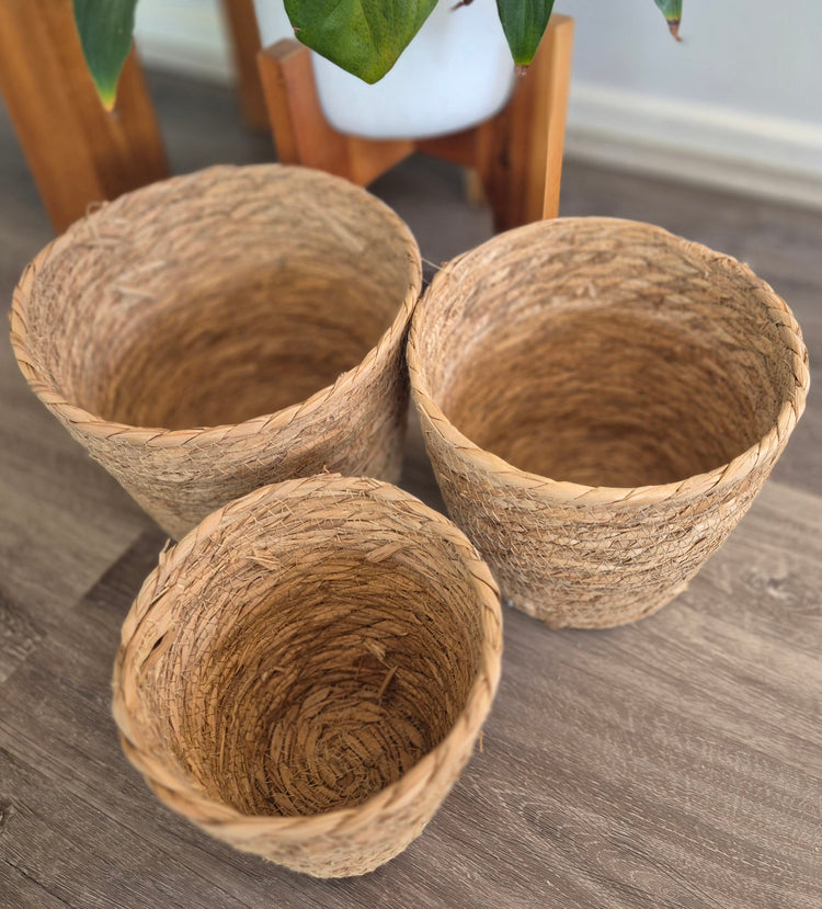 Seagrass Round Coastal small Baskets/planters - set of 3