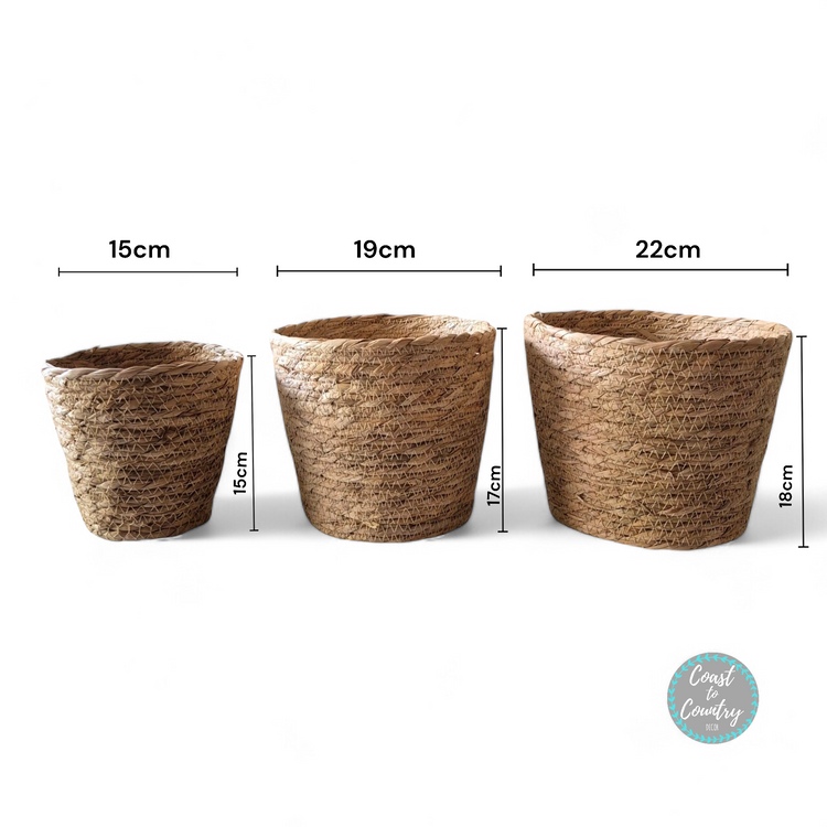 Seagrass Round Coastal small Baskets/planters - set of 3