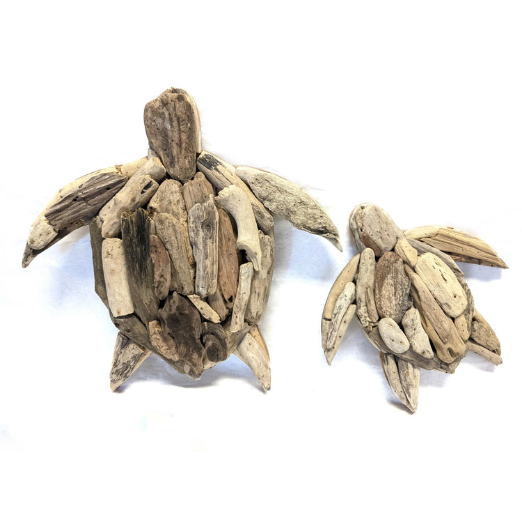 Coastal Natural Driftwood Sea Turtles S/2 wall art