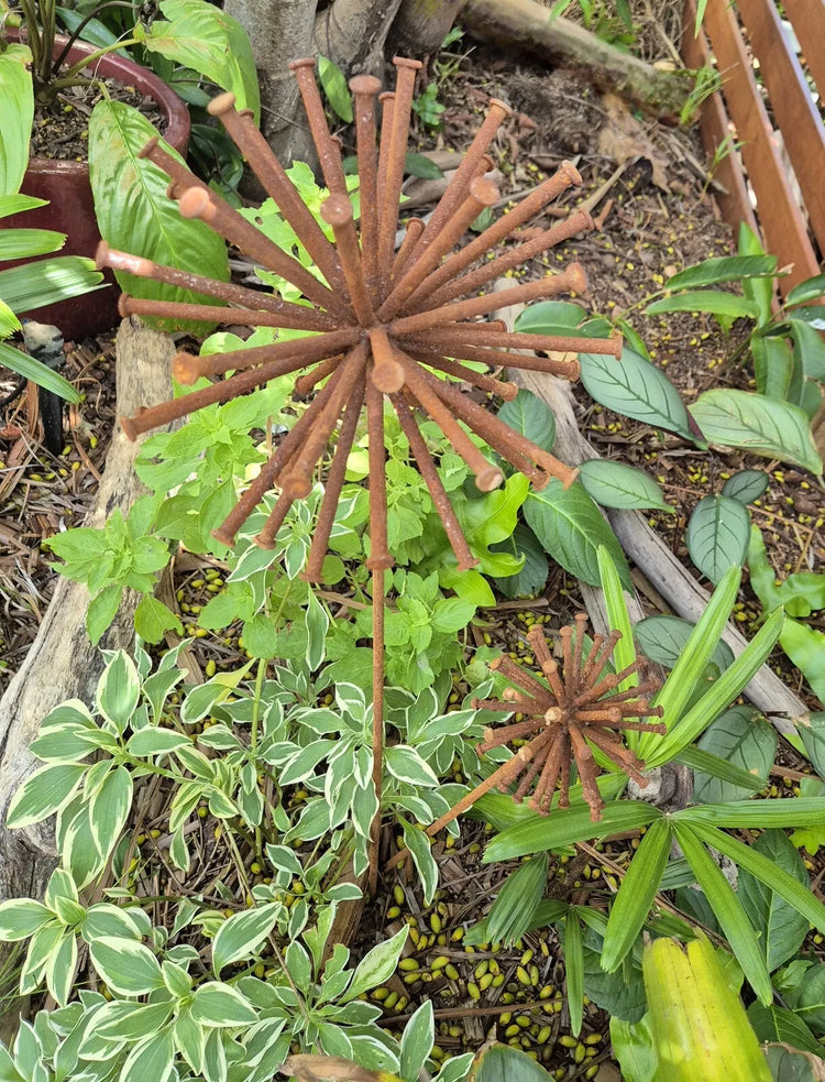 Rusty Metal Dandelion - set 2 90/50cm