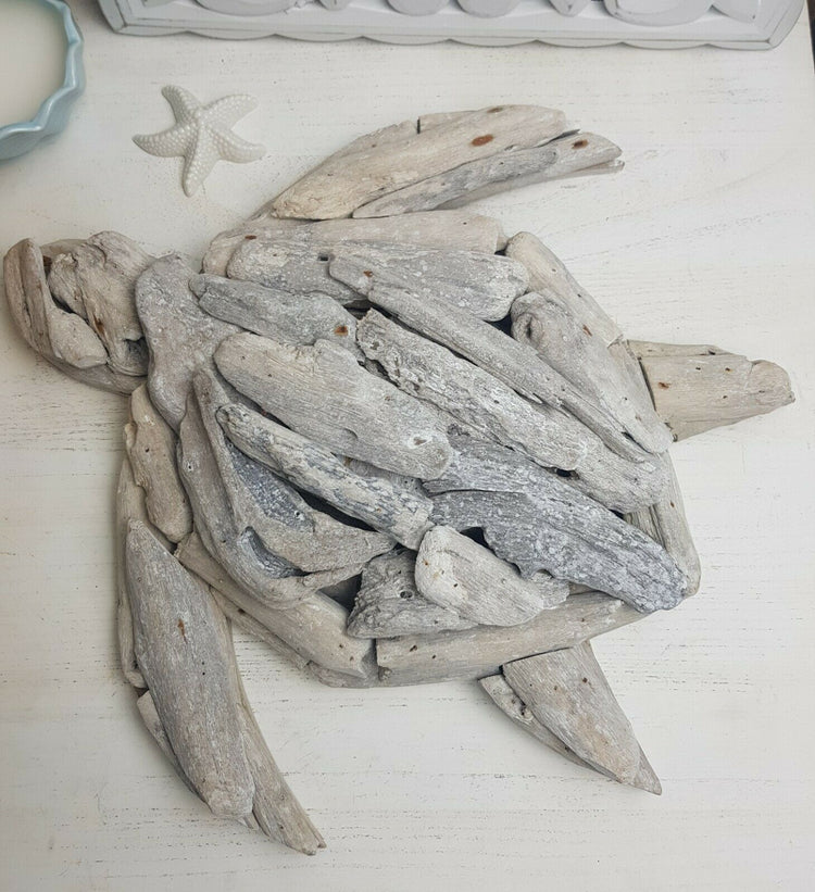 Coastal Natural Driftwood Sea Turtle Wall Art 30cm