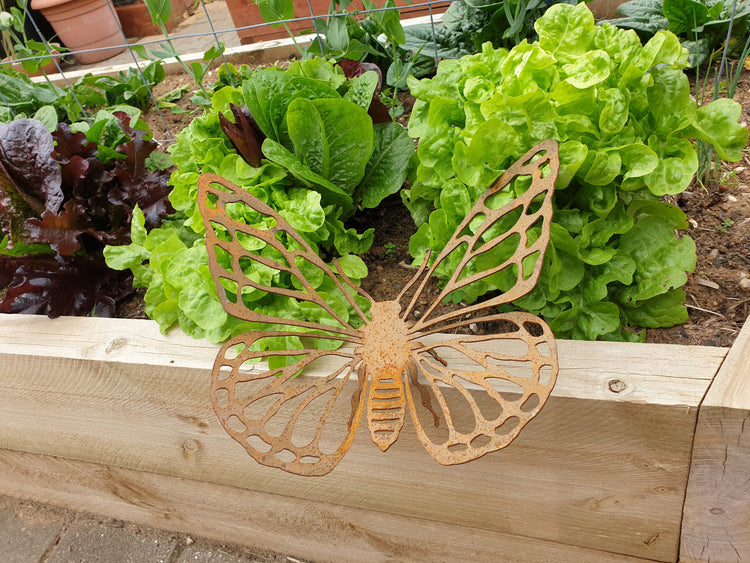 Rustic Metal Butterfly Garden Art Ornament Sculpture Rust Colour